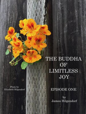 cover image of The Buddha of Limitless Joy